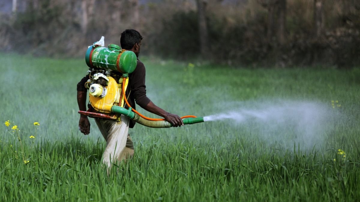 Pesticides & Insecticides